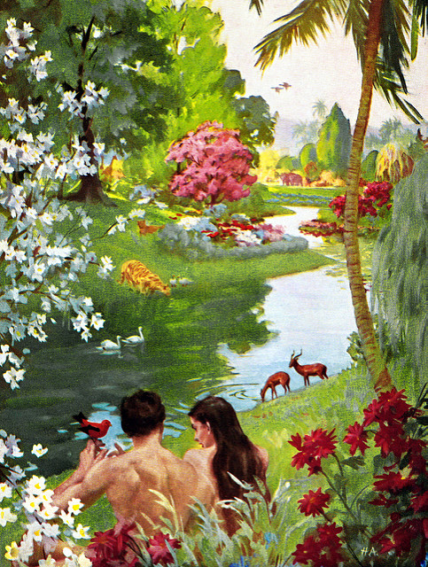 Image au bord d’un ruisseau d’Adam et Eve, proche des animaux et de la nature