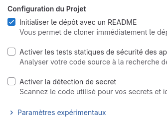 Impression écran de l&rsquo;encart « Configuration du Projet » pour la création d&rsquo;un nouveau dépôt